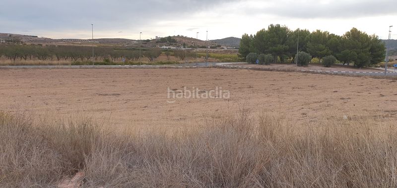Foto f3d9d8ad-b8a9-4013-b428-7d67b1d88886. Finca rústica a proc. simplificado a Pinoso