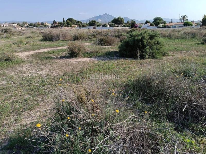 Foto 34885ce6-f8d0-4dd8-87fc-7bf92c2ee724. Landgut in 3 parcela in La Font-Mezquitas San Juan de Alicante