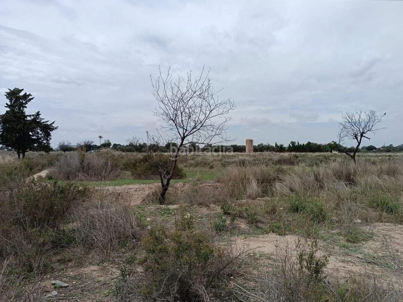 Foto ff5737c4-476d-4cb1-8aed-446d7c709dbb. Propriété dans 3 parcela dans La Font-Mezquitas San Juan de Alicante