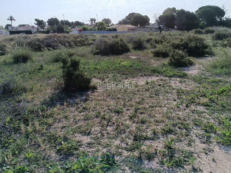 Foto 565e0bde-cf25-470a-a21d-db7b9284b9ff. Finca rústica a 3 parcela a La Font-Mezquitas San Juan de Alicante