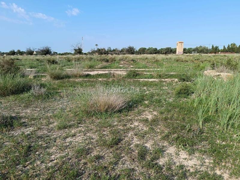 Foto 6f8049ca-ef33-4fec-9887-bc9794463950. Finca rústica a 3 parcela a La Font-Mezquitas San Juan de Alicante