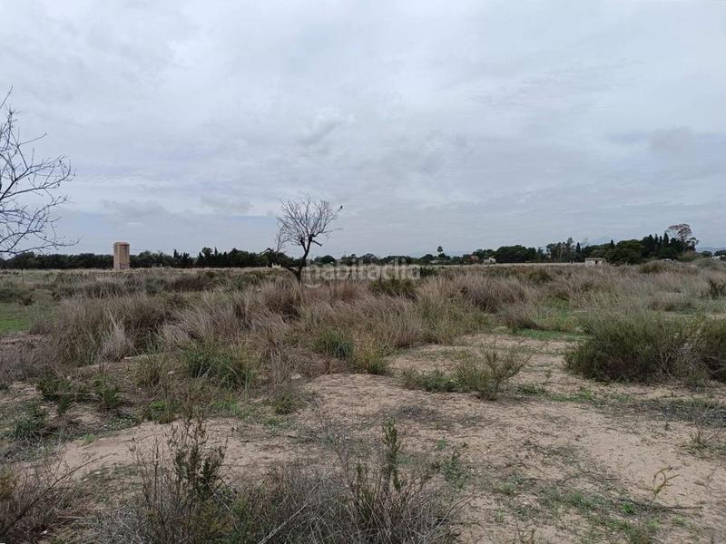 Foto 97e55475-2f07-4562-b223-5ea12ae1a780. Finca rústica a 3 parcela a La Font-Mezquitas San Juan de Alicante