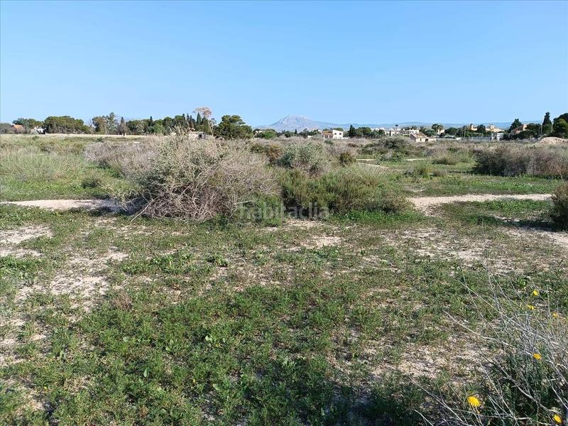 Foto 9827a8e9-845d-4465-890b-544d856d2988. Finca rústica a 3 parcela a La Font-Mezquitas San Juan de Alicante