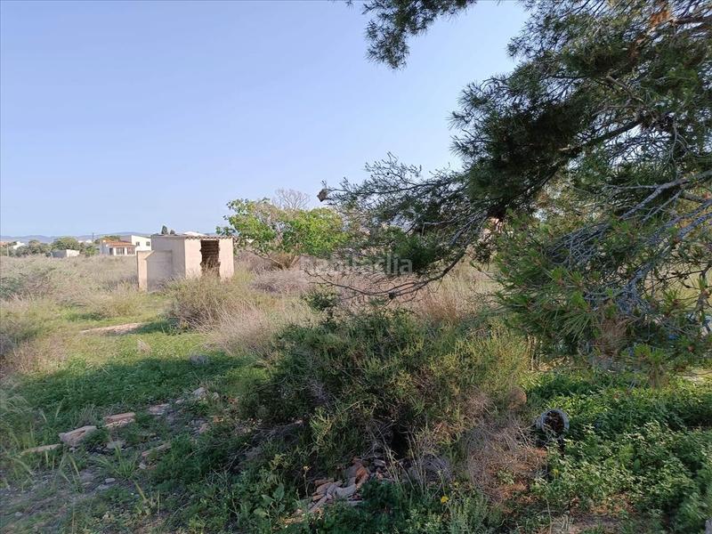 Foto fdaa885b-e697-47ff-8b5e-2c44adeb6097. Finca rústica a 3 parcela a La Font-Mezquitas San Juan de Alicante