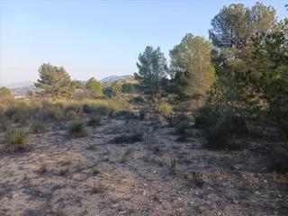 Propriété à Monóvar/monòver proc. simplificado s/n. Terreno rústico en monóvar, alicante  oportunidad única