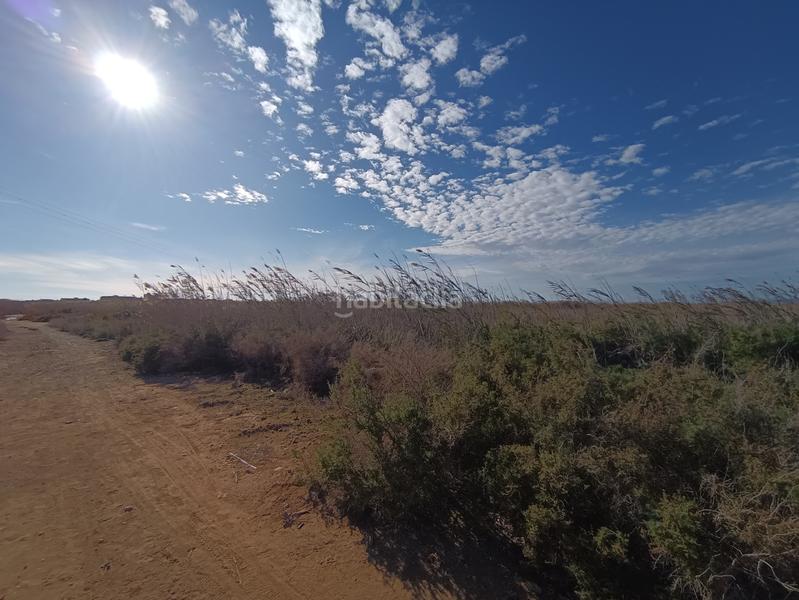 Foto 68990304-b500-43f6-9ced-9669c37b5b55. Rural plot in proc. simplificado in Noroeste Santa Pola