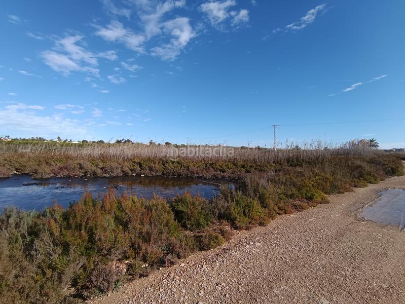 Foto dae13152-ff48-46ce-8575-d9b8c5074498. Rural plot in proc. simplificado in Noroeste Santa Pola