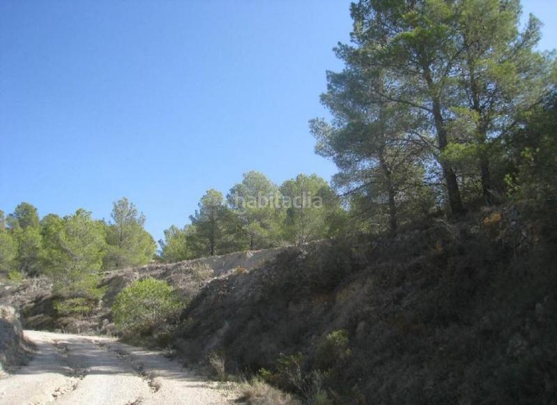 Foto ebf69173-de2c-455a-a2a9-a655e1997166. Finca rústica en anton en Finestrat pueblo Finestrat