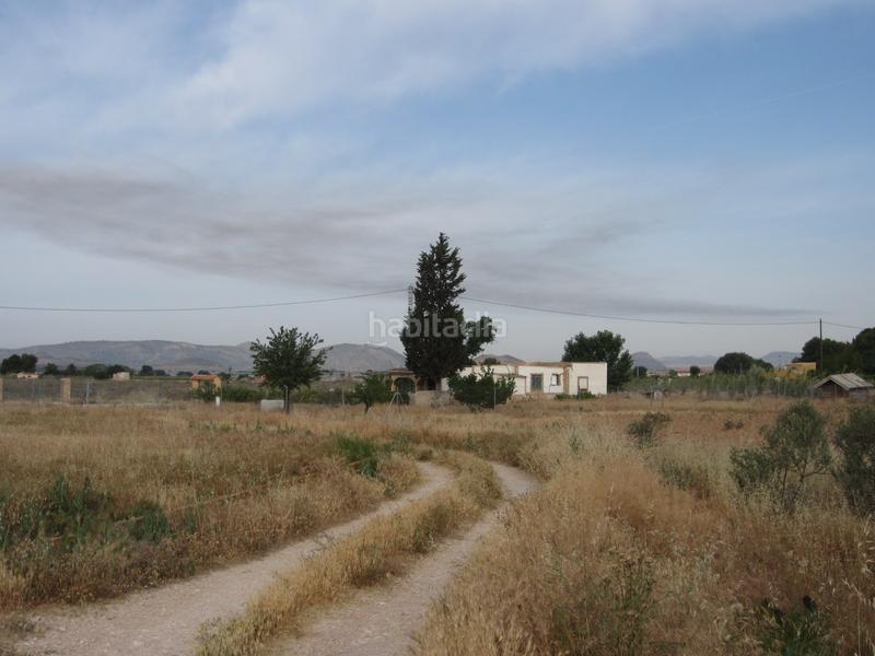 Foto fda555b6-e97d-4388-8c2f-216c314e0a62. Fondo rustico in Las Tiesas (poligono 47 parcela 190) in Villena