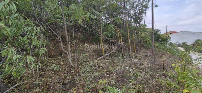 Foto 0de3e461-9a4c-4c36-9f7b-b230f5960a43. Terreny residencial a cl tejares 6(a)Biar (alicante) 6 a Biar