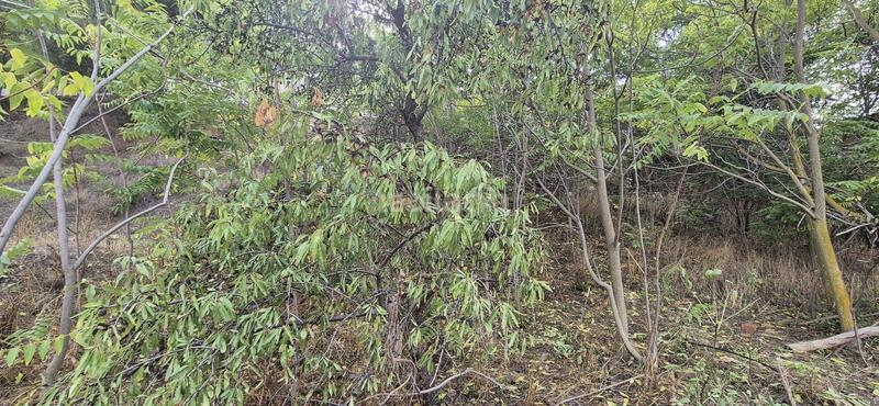 Foto 773f56e4-7fb1-4df5-a250-91af51d920e4. Terreny residencial a cl tejares 6(a)Biar (alicante) 6 a Biar