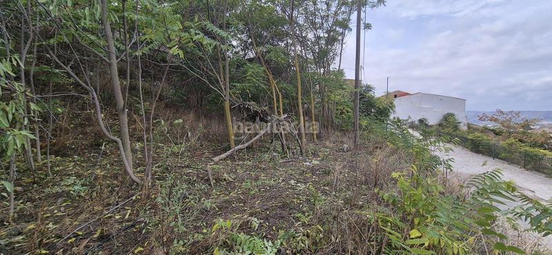 Foto f5d67517-d332-4c1c-90a2-676d694b7394. Terreny residencial a cl tejares 6(a)Biar (alicante) 6 a Biar