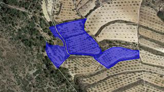 Rural plot in Algayat. poligono 21 parcela 585-586, 585-586