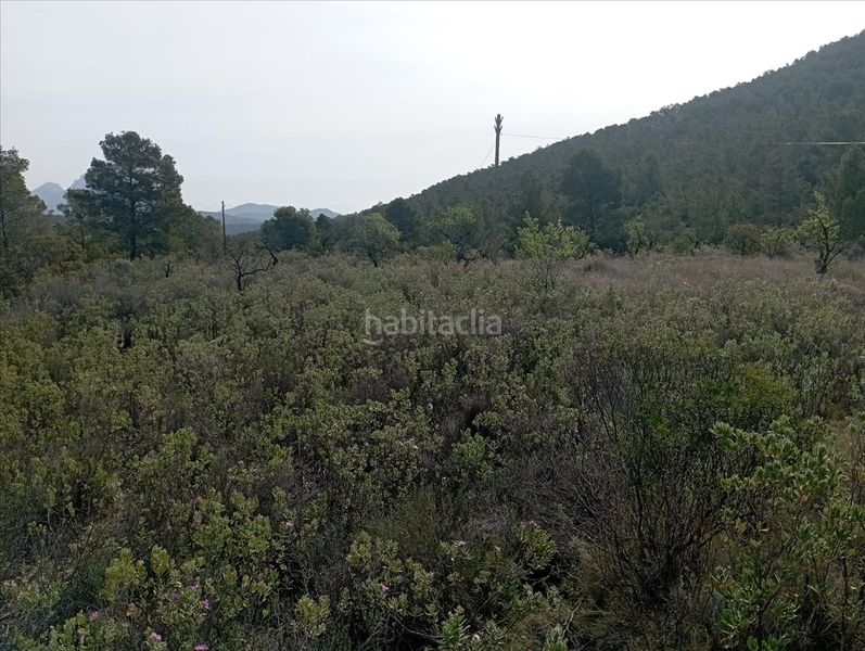 Foto 887ffd6c-60a0-43d7-b329-6db8a9641355. Finca rústica en casa baldes (polígono 8 en Relleu