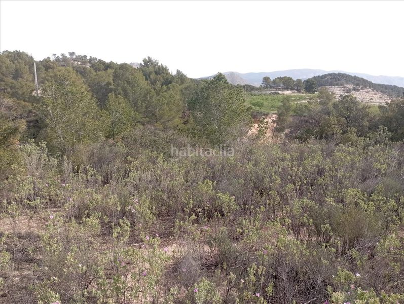 Foto ad5af1cf-2853-47cd-bb53-9d604d19d791. Finca rústica en casa baldes (polígono 8 en Relleu