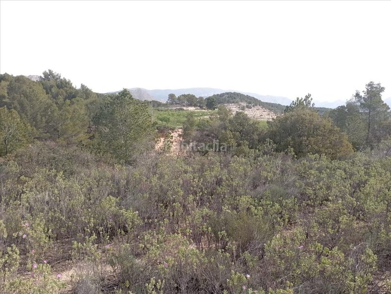 Foto ada93680-6118-4b2e-9fe0-d759d2913e07. Finca rústica en casa baldes (polígono 8 en Relleu