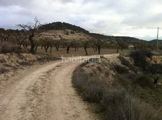 Foto ba69457a-4395-45fb-b6f4-b27bc738fca6. Finca rústica en casa baldes (polígono 8 en Relleu