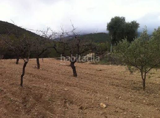 Foto e61fcf54-196c-40cd-82ba-716e22229996. Finca rústica en casa baldes (polígono 8 en Relleu