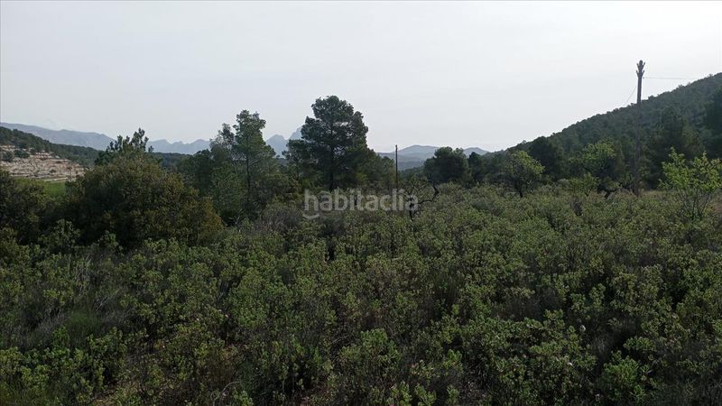 Foto e6d66430-027a-4238-90e0-89d864dd6299. Finca rústica en casa baldes (polígono 8 en Relleu