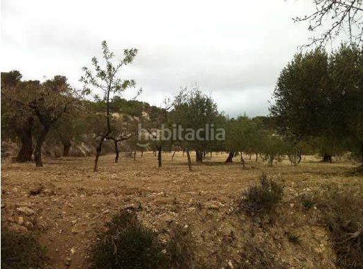 Foto f702537a-125d-4666-a56d-e6d5f8b441f5. Finca rústica en casa baldes (polígono 8 en Relleu
