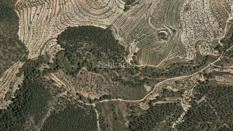 Foto fcf3a5ef-4e68-4e0a-85e9-833b235ffcb5. Finca rústica en casa baldes (polígono 8 en Relleu