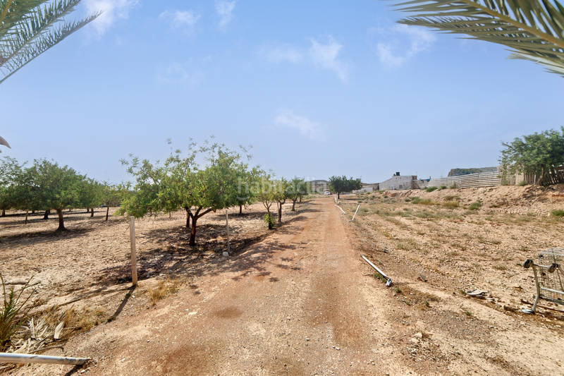 Foto 26e3611d-ab74-455c-8eb4-739d2ad8ce68. Propriété dans font calent dans Fontcalent Alicante