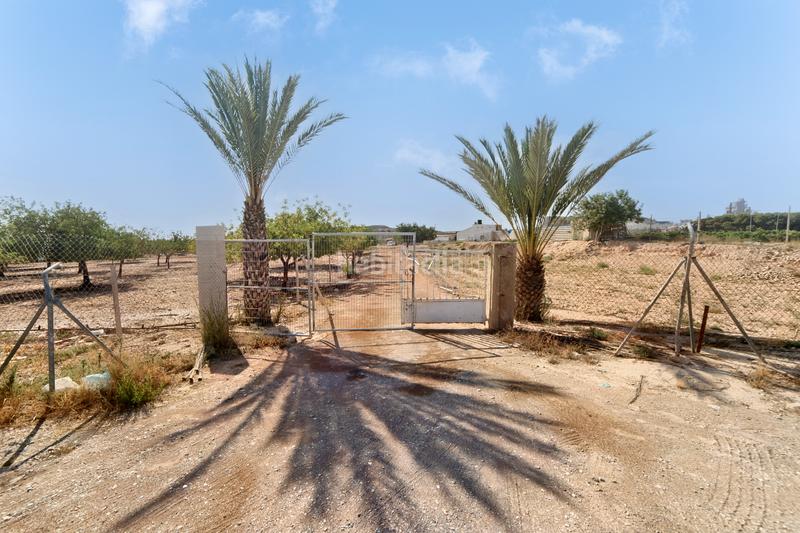 Foto f2a31890-502b-43e6-8f9c-2fa99d4bcc16. Propriété dans font calent dans Fontcalent Alicante