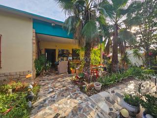 Location Maison à Cl ubaldo capdepon 8 alicante/alacant (alicante). Un rinconcito de cuba en alicante casa vintage con jardín tropic