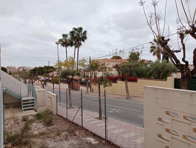 Foto f58a5029-27ed-4e65-a307-21be334fce1b. Casa a carrasqueta a Centro Mutxamel