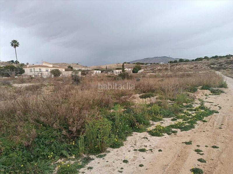 Foto 6b3e2695-3f2e-4676-b3d4-2e8969b35313. Finca rústica a polígono 9 parcela 77 secanet a El Secanet-Hacienda del Sol Vila Joiosa (la)