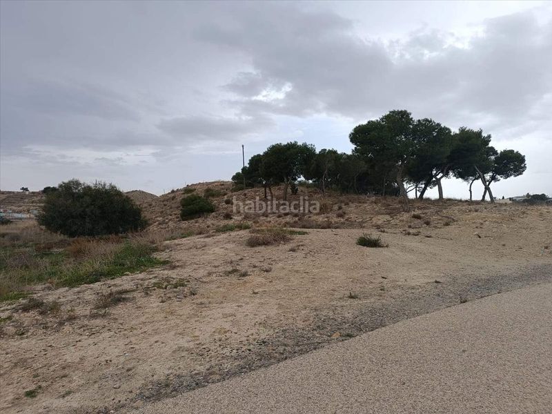 Foto c0f9dc9d-5e72-4af4-a274-ee26a100ca90. Finca rústica a polígono 9 parcela 77 secanet a El Secanet-Hacienda del Sol Vila Joiosa (la)