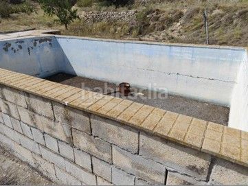 Foto 1a22fa3f-9f64-4e1d-bf1f-9c2acca8183a. Finca rústica a polígono 20 parcela 135 a Pinoso