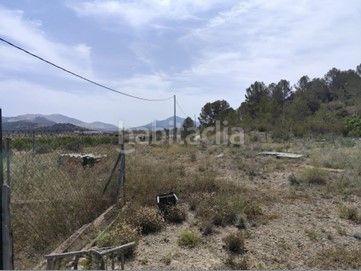 Foto 5e471e86-7078-4404-a072-3ee7629edfa9. Finca rústica a polígono 20 parcela 135 a Pinoso