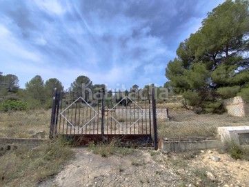 Foto 70351741-9c5c-452b-8849-afd01a1139fb. Finca rústica a polígono 20 parcela 135 a Pinoso
