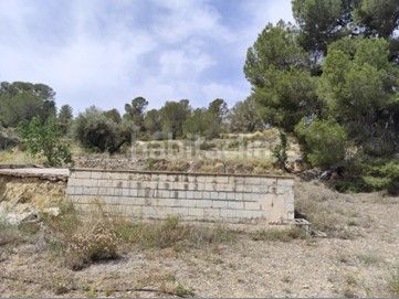 Foto c89717e9-abe0-454d-91e1-4473965770fb. Finca rústica a polígono 20 parcela 135 a Pinoso