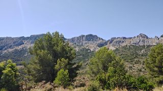 Geschäftsraum in Cami de l'algar 28. Venta de local comercial altea