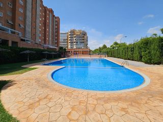 Rent Apartment in Calle doctor josé babe delgado, 1, alicante, spain 1. Piso en alquiler de larga temporada excelente ubicación y urbani