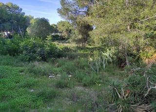 Mas à El Secanet-Hacienda del Sol