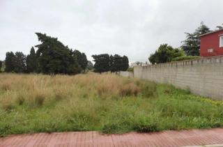 Terreny residencial a La Pedrera-Vessanes