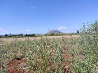 Terreno residenziale in Gata de Gorgos