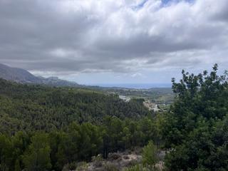 Terreny residencial a Callosa d´en Sarrià