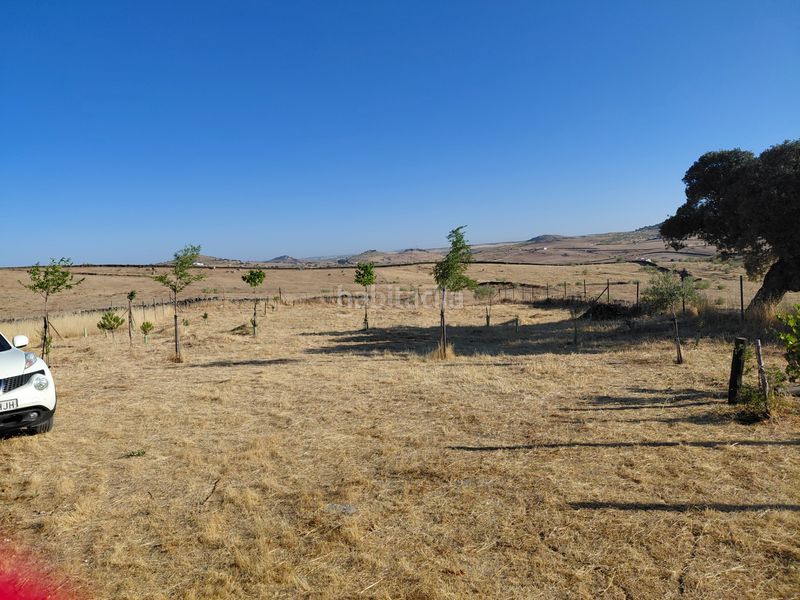 Foto a9238800-0bce-4eb7-add4-d30bc613030a. Casa adossada amb xemeneia aparcament a Fuente de Cantos
