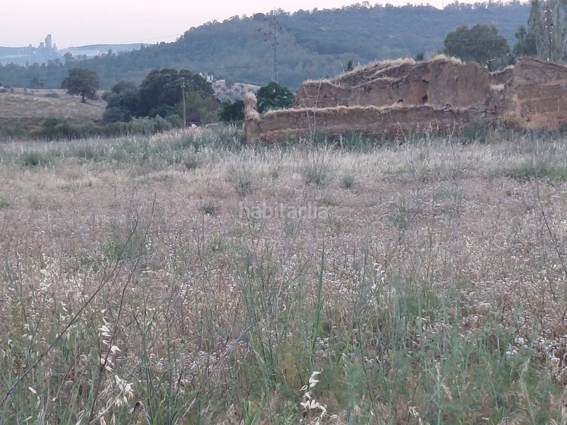 Foto 73a4aa2e-45e3-41ab-b900-cb2c2185da20. Finca rústica a Zafra