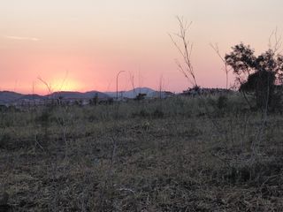 Finca rústica a Zafra. Tierra rustica ocio o cultivo