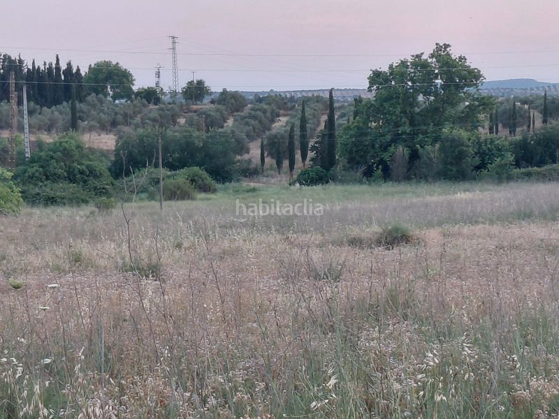 Foto c13aadec-1afc-4391-9be7-d5b8c54caf46. Finca rústica a Zafra