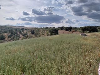 Finca rústica a Fuente de Cantos. Finca rustica agrícola ganadera sur badajoz