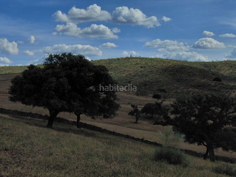 Foto 5a9e033c-7a3d-4b02-9ea2-32908b786f39. Finca rústica a Fuente de Cantos