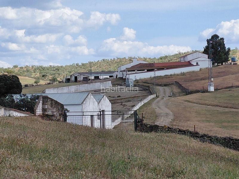 Foto 93f83d38-8e4f-4d9d-b8b9-e9156036e404. Finca rústica a Fuente de Cantos