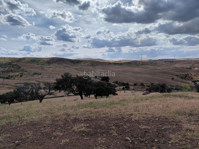 Foto c331f2a4-f5ac-4844-990d-d293ed481488. Finca rústica a Fuente de Cantos