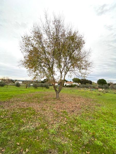 Foto 0b9c4f67-432b-4698-9424-1d8d4b38720b. Masia a Valdesalor - Rincón de Ballesteros Cáceres